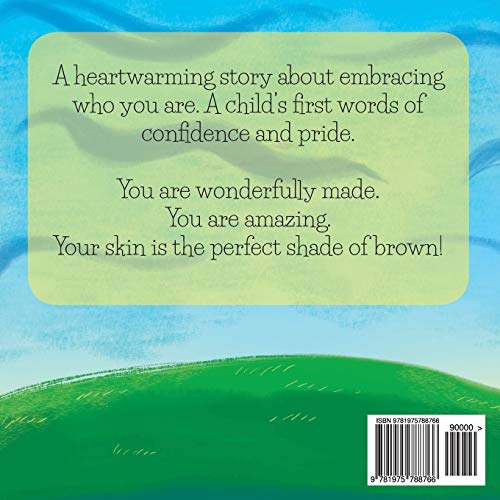My Brown Skin (Hey Carter! Children Book)